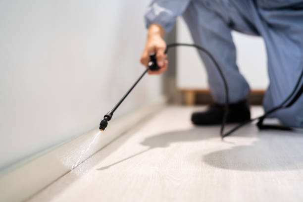 Licensed Cockroach Control service in McMillin, WA - Nex Pest Control