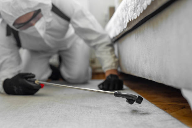 Professional Cockroach Control technician working in McMillin, WA
