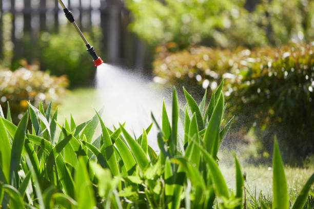 24/7 Emergency Cockroach Control experts in McMillin, WA