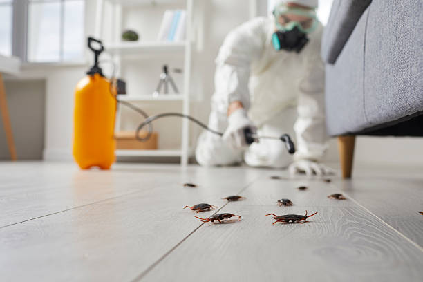 Affordable Cockroach Control solutions in McMillin, WA